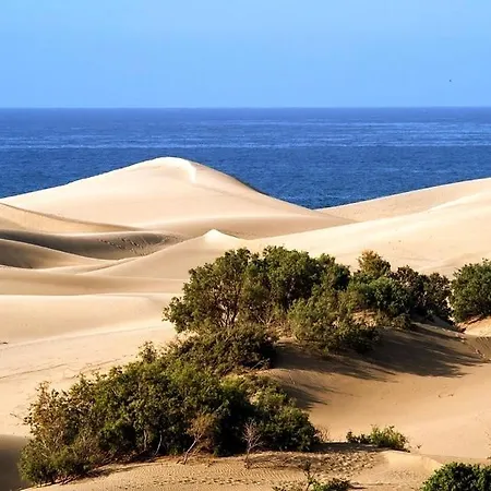 Cozy Maspalomas * Maspalomas (Gran Canaria)